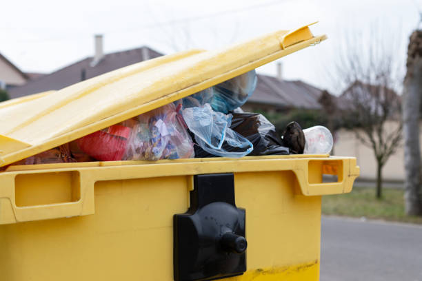 Best Dumpster Rental Services  in Upland, IN